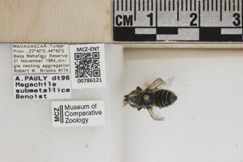 Media type: image;   Entomology 786121 Aspect: Labels